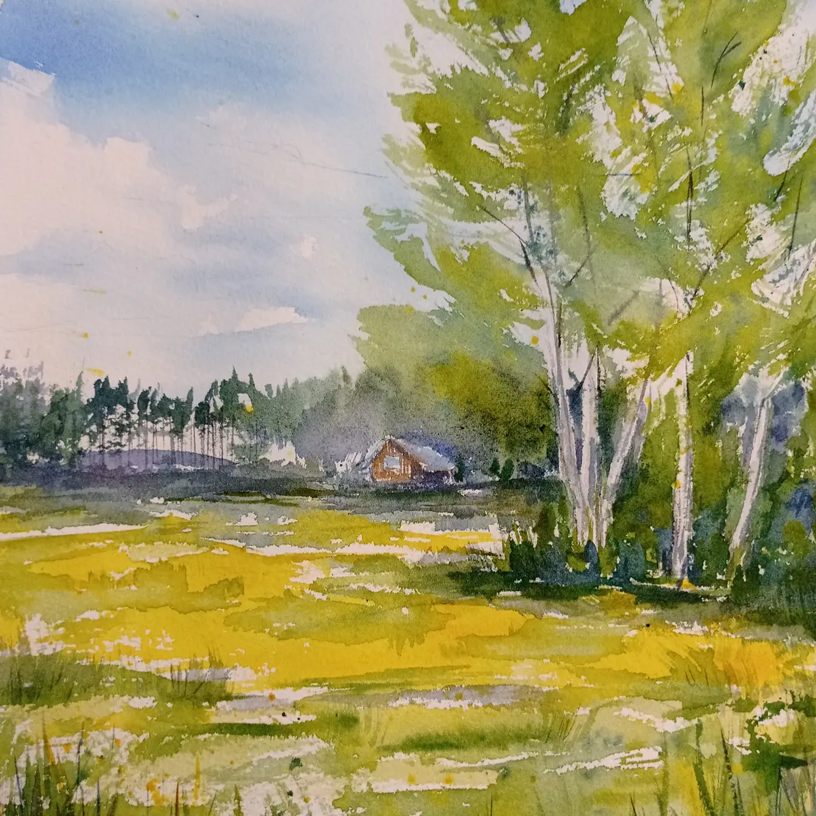Thumbnail: Maalaiskesä